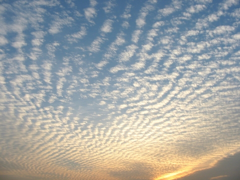 Cirrocumulus Clouds